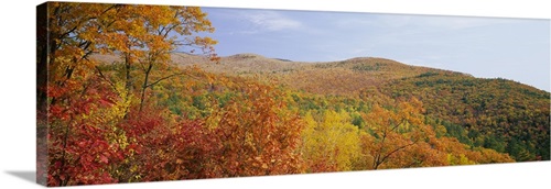 Panoramic view of a landscape, Moultonborough, Carroll County, New ...