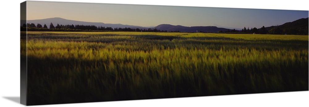 Panoramic view of a landscape, Upper Hood River Valley, Mt. Adam, Oregon