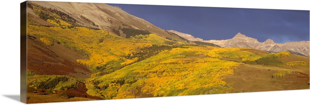 Panoramic view of mountains, Telluride, San Miguel County, Colorado