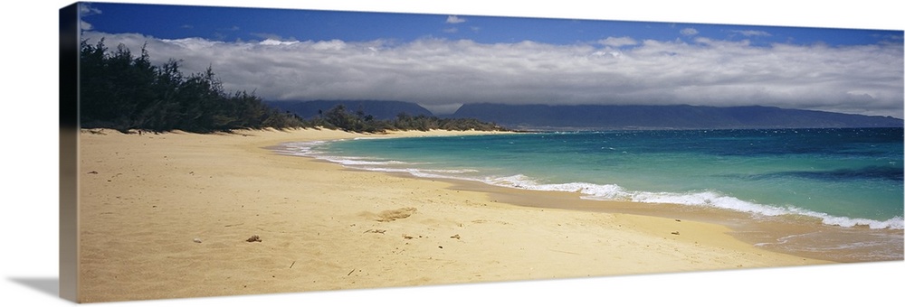 Wide angle photograph on a large wall hanging of clear blue waters along the beach in Maui, Hawaii, a tree line in the bac...