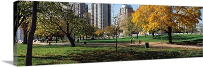 Park in a city, Lincoln Park, Chicago, Cook County, Illinois,