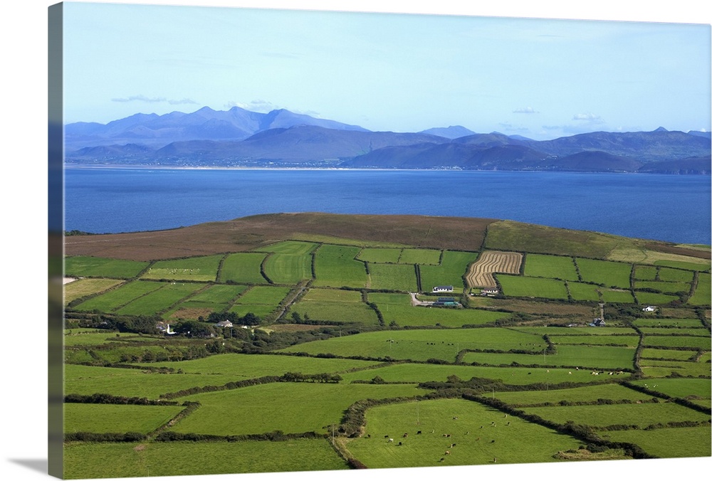 Pastoral Countyside Overlooking Dingle Bay and the Distant Ring of Kerry, Ireland