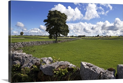 Pastoral farmland between Clonbur and Ballinrobe, County Mayo, Ireland