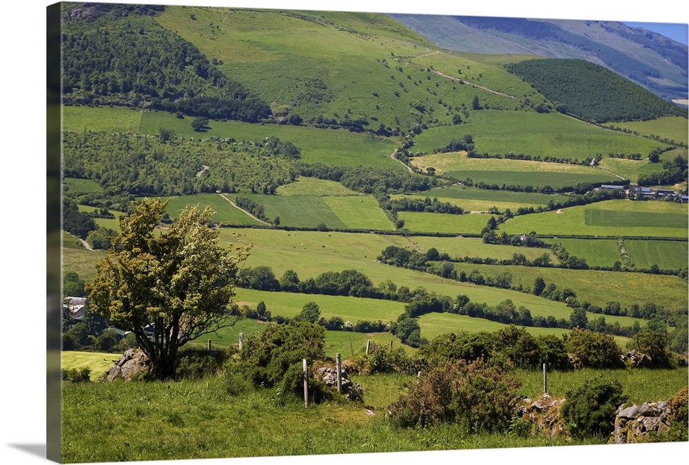Pastoral Scene Below the Comeragh Mountains, County Waterford, Ireland
