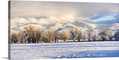 Pasture land covered in snow, Taos Mountain, Sangre De Cristo Range, Colorado
