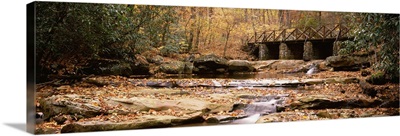Pennsylvania, Ohiopyle State Park, Cucunber Run, Stream flowing through the forest