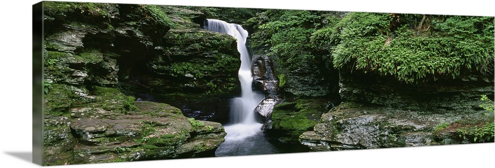 Pennsylvania, Ricketts Glen State Park, Panoramic view of a waterfall