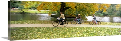People riding bicycles in a park, Vondelpark, Amsterdam, Netherlands