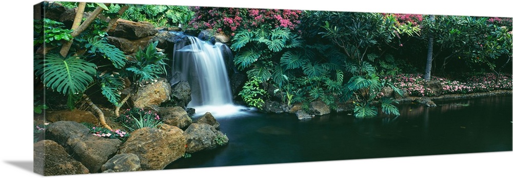 Philodendron line in the base of a waterfall, Lanai, Hawaii, USA.