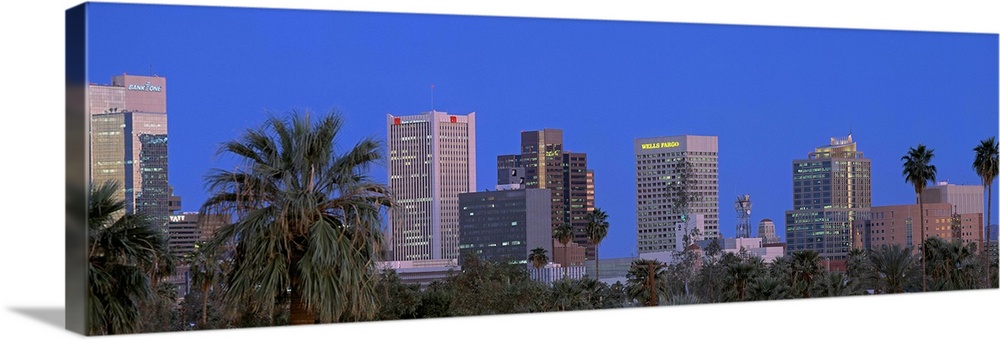 Phoenix, Arizona palm trees and cityscape in a panoramic view.