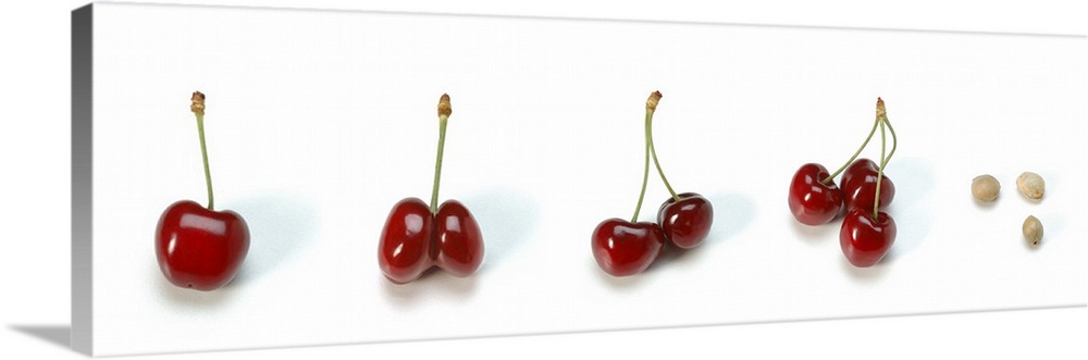 Photo collection of cherries