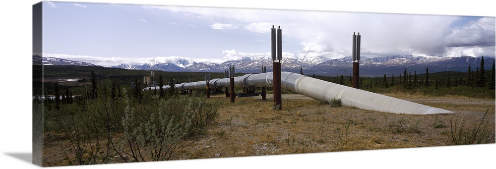 Pipeline passing through a landscape, Trans-Alaskan Pipeline, Alaska