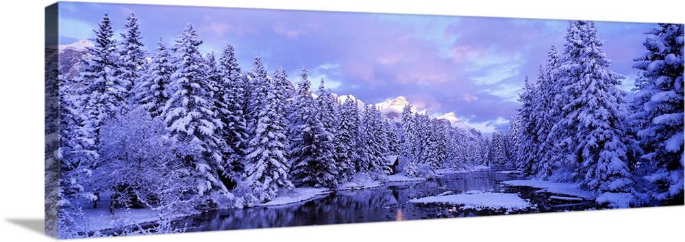 Panoramic photograph looking down Policemans Creek, surrounded by a dense forest of snow covered pines on both sides, bene...