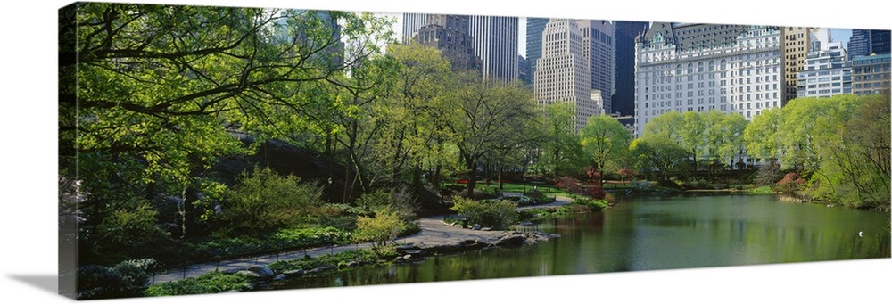 A large pond in Central Park is photographed with thick foliage lining the left side and buildings pictured in the backgro...
