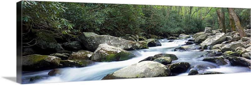 Porter Creek Great Smoky Mtns National Park TN | Great Big Canvas