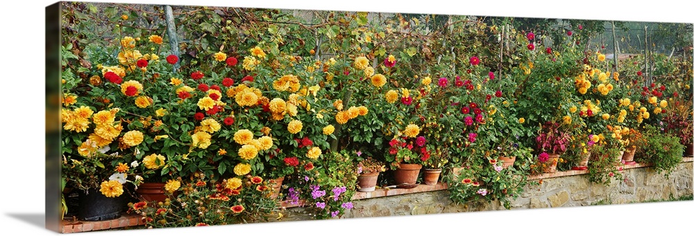Panoramic photograph displays a row of colorful flowers in an assortment of pots sitting on top of a brick ledge.