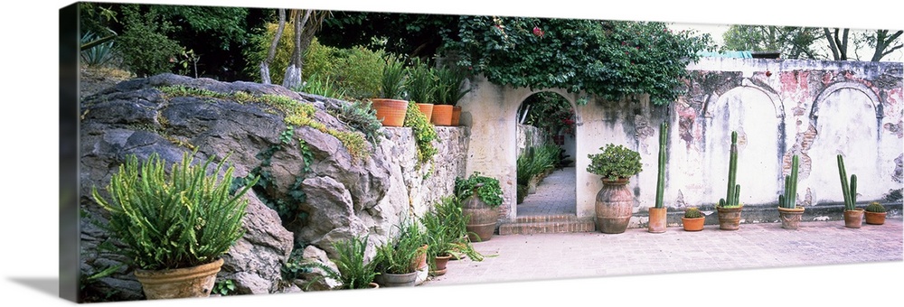 Panoramic photograph of peeling stone wall with arch doorway lined with house plants.