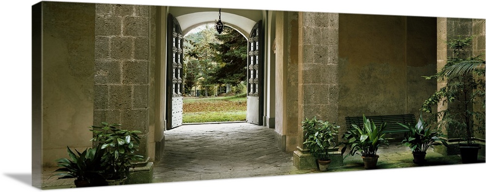 Panoramic photograph of arched entryway lined with house plants.