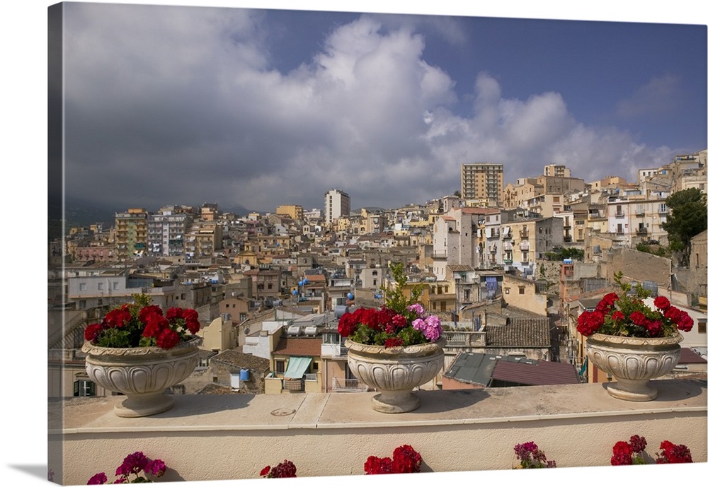 Canvas photo print of three flowers planted in pots along a balcony with an Italian city in the distance.