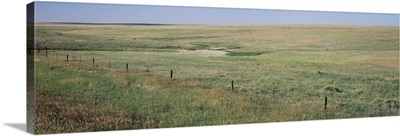 Prairie grass on a landscape, Kearney County, Nebraska