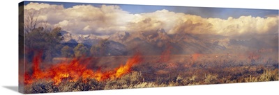 Prescribed Burn Grand Teton National Park WY