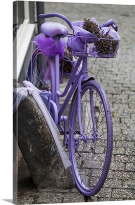Purple bicycle on street, Limburg an der Lahn, Hesse, Germany