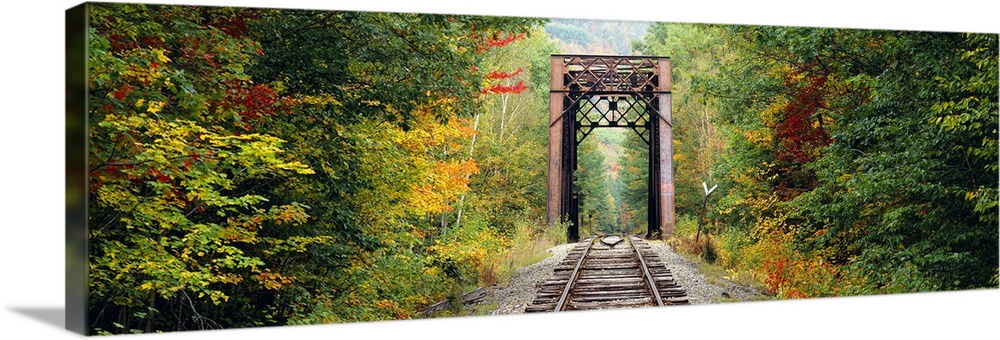 Panoramic photograph of old railway running through forest.