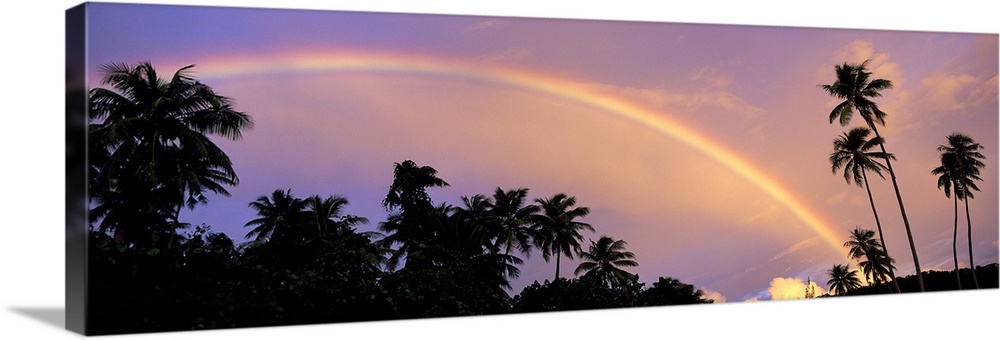 Rainbow between palm trees at dusk, French Polynesia