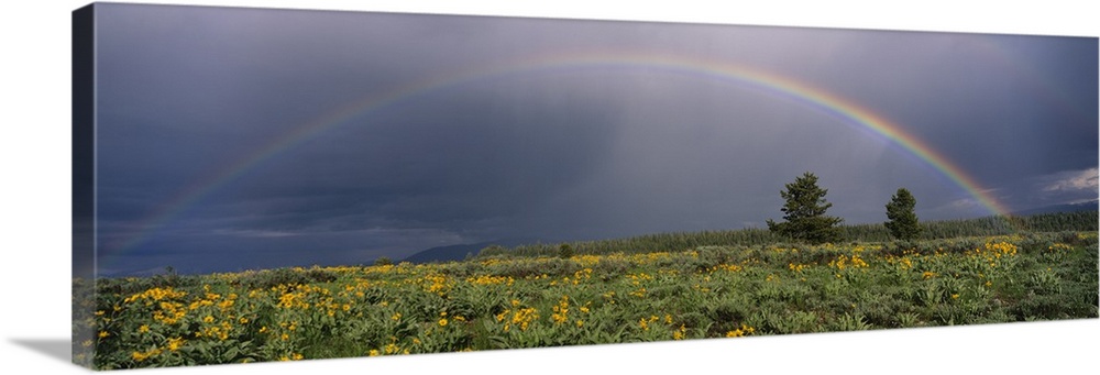 Rainbow Grand Teton National Park WY