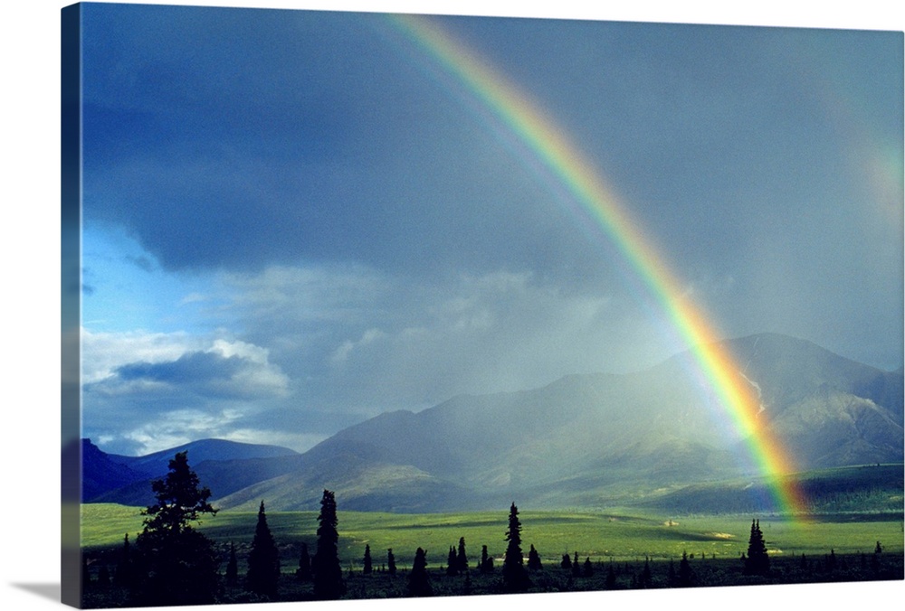 Rainbow over a landscape, Denali National Park, Alaska