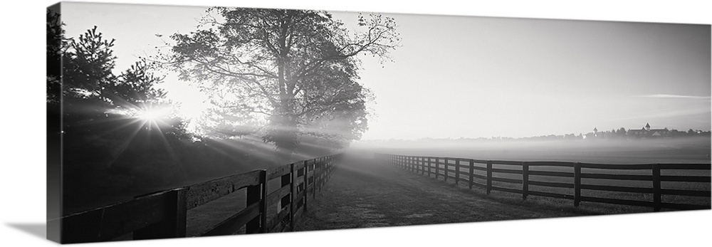 Ranch at dawn, Woodford County, Kentucky