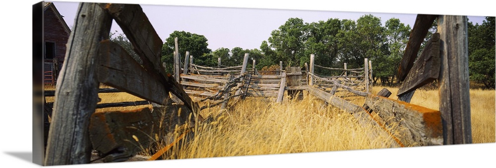 Ranch cattle chute in a field, North Dakota