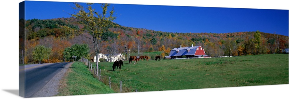 Ranch near Richmond Vermont
