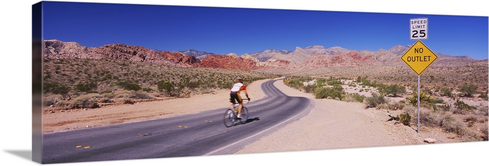Rear view of a person cycling on the road, Red Rock Canyon National Conservation Area, Clark County, Nevada