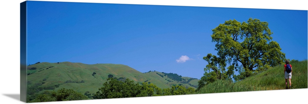 Rear view of a woman hiking, Mt Diablo State Park, California