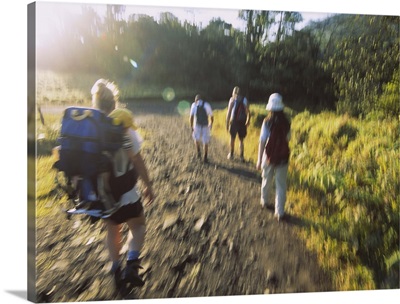 Rear view of four people walking on a dirt road, Costa Rica