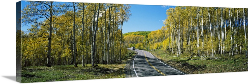 Recreational vehicle driving on road winding through aspen forest