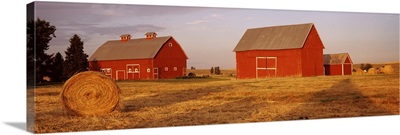 Red barns in a farm, Palouse, Whitman County, Washington State,