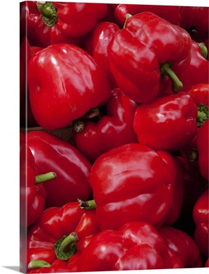 Red bell peppers for sale at weekly market, Arles, France