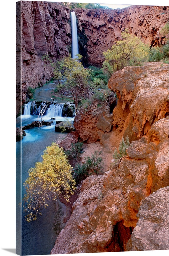 This vertical, landscape photograph shows the waterfall, stream bed, and the plants growing around them.