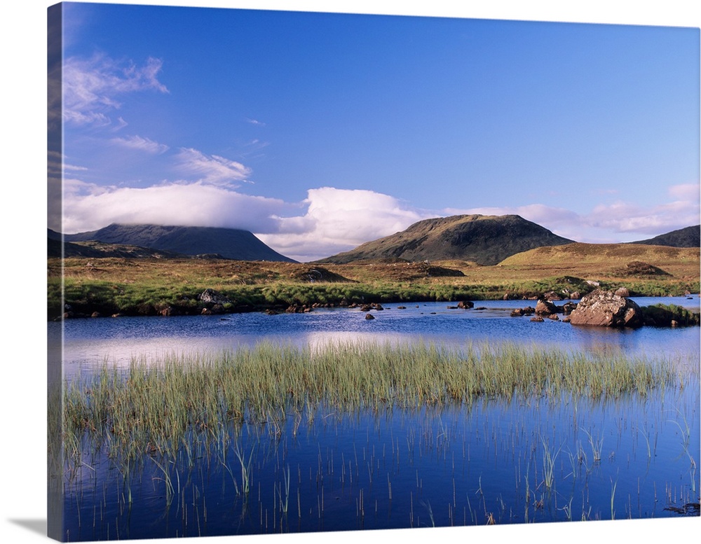 Reeds in a lake, Loch na h-Achlaise, Rannoch Moor, Highland Region, Scotland II