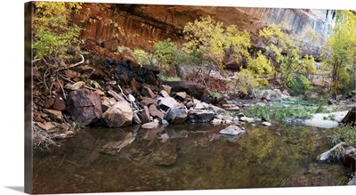 Reflecting pond in Zion National Park, Springdale, Utah