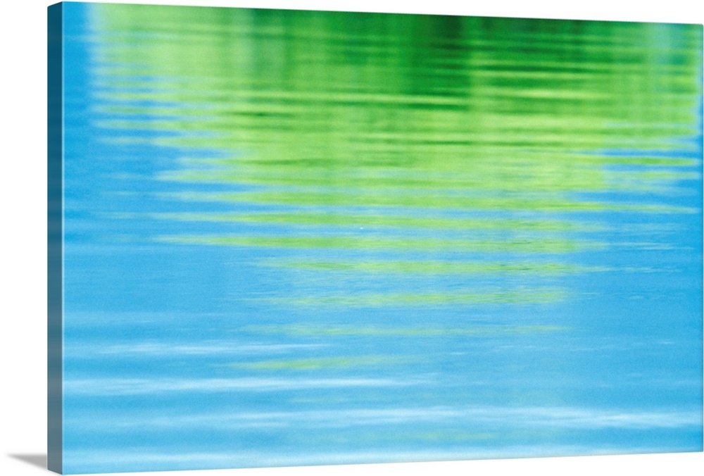 Reflection of a tree in water