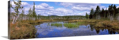 Reflection of clouds in a lake, Raquette Lake, Adirondack Mountains, New York State,