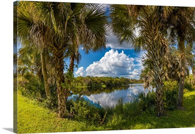 Reflection of clouds on water, Deer Prairie Creek Preserve, Venice,  Florida