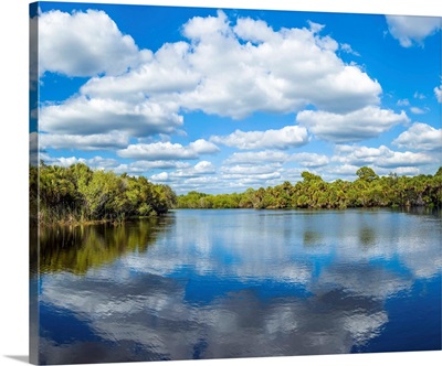 Reflection Of Clouds On Water, Deer Prairie Creek Preserve, Venice, Florida, USA