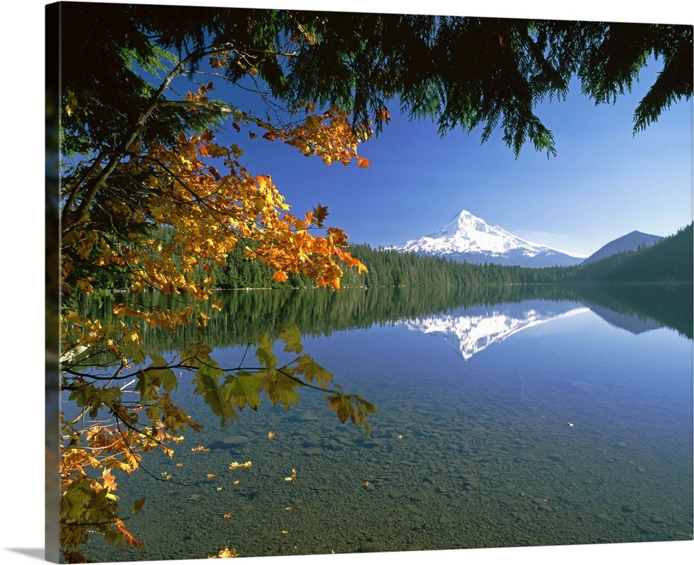 Reflection of Mt Hood in Lost Lake, Mt Hood National Park, Oregon Wall