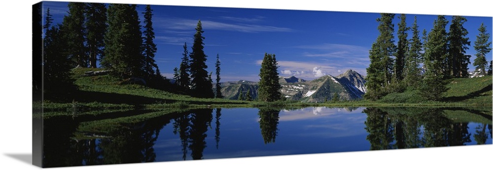 Reflection of pine trees in a lake, Alpine Lake, Gunnison National Forest, Colorado