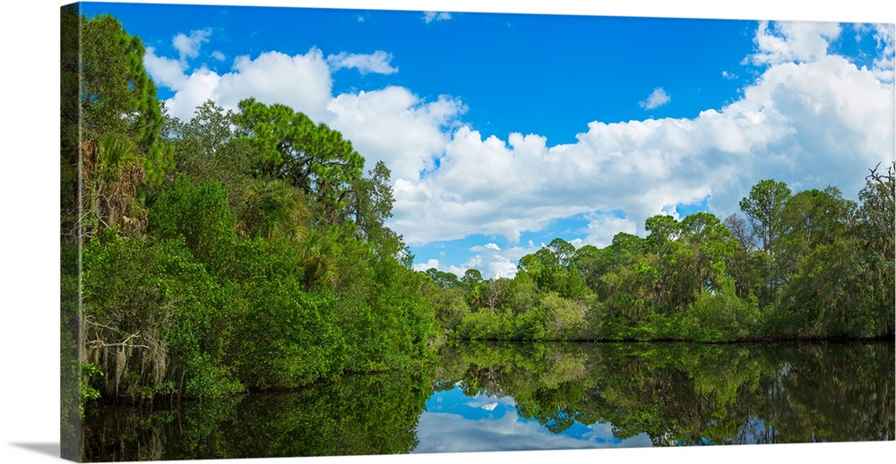 Reflection of trees and clouds in South Creek, Oscar Scherer State Park, Nokomis, Sarasota County, Florida, USA.