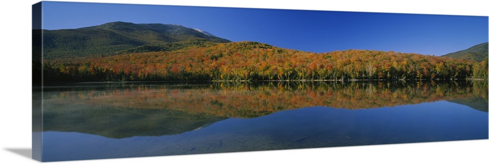 Reflection of trees and hill in a lake, Heart Lake, Adirondack, New ...